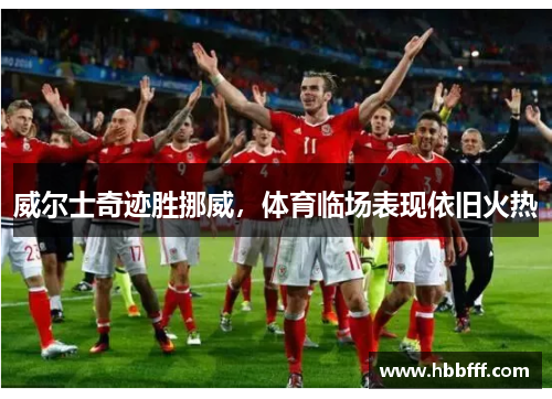 威尔士奇迹胜挪威，体育临场表现依旧火热